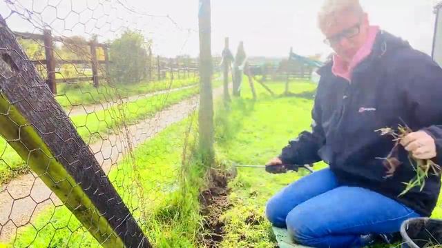 Planting Spring Bulbs! смотреть онлайн