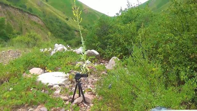 Алмазы каменные 23 смотреть онлайн