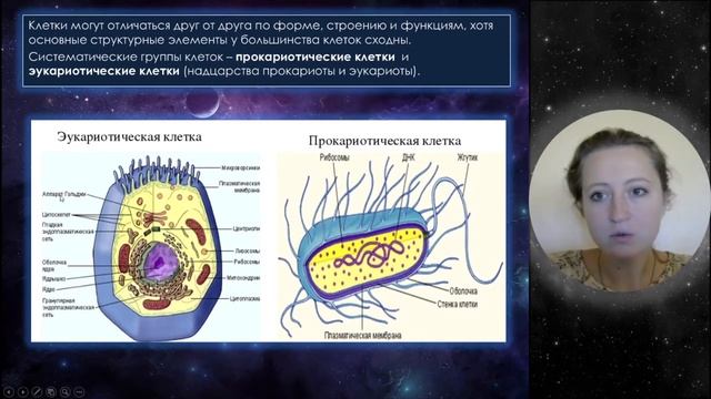 Урок 5. Клетка как биологическая система с примерами заданий ЕГЭ смотреть онлайн