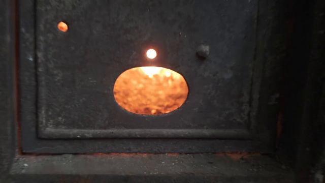 Выгнала щенков из-за СРАЧА смотреть онлайн