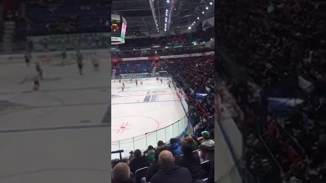 AllAlina смотреть онлайн