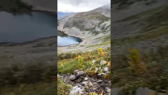 Алтай 2021 озера Манас смотреть онлайн