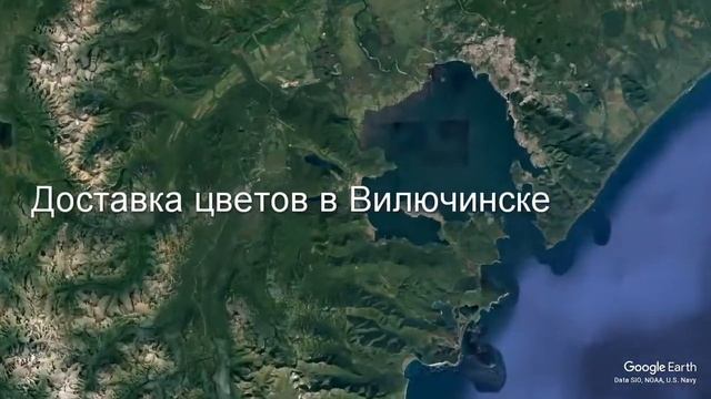 Доставка цветов в Вилючинске - Заказ букетов от компании Скорая подарочная помощь смотреть онлайн