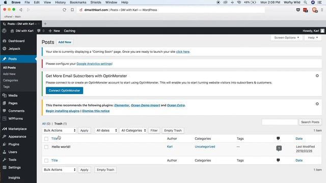 How to Delete Sample Pages and Posts in Wordpress (Step 6) смотреть онлайн
