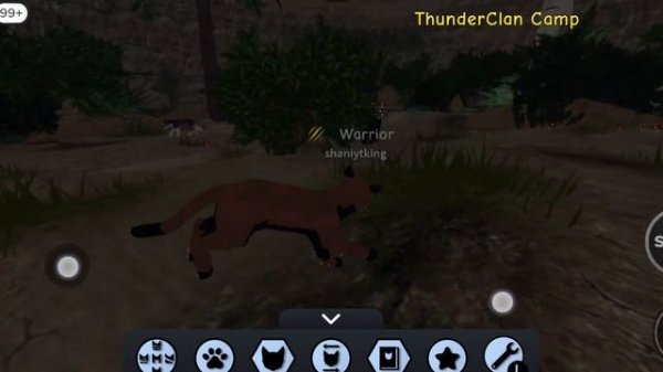 Warrior Cats Codes Roblox 2022 - Warrior Cats Codes - Warrior Cats Ultimate Edition Codes Today