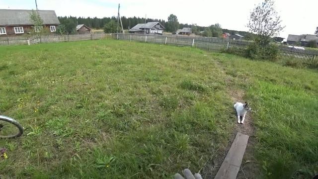Жизнь в деревне/ Топлю баню/ Ремонт тротуар/ Бытовые вопросы смотреть онлайн