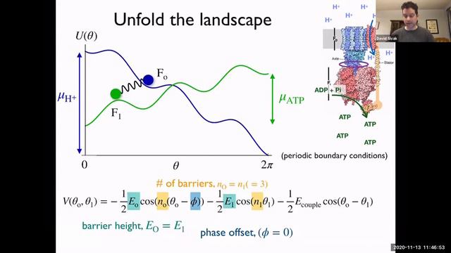 BPPB Virtual Seminar, David Sivak, Revving your molecular engine смотреть онлайн