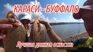 Рыбалка на КАРАСЯ БУФФАЛО В АВГУСТЕ. ЛУЧШИЕ ДОННЫЕ ОСНАСТКИ