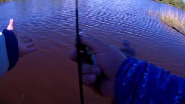 с микроджигом на озере у Лимпопо смотреть онлайн