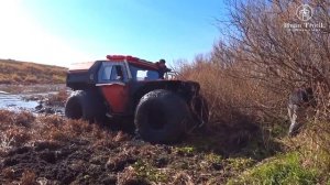 Шесть квадроциклов Сокол на болоте! Обзор Сокол   Пикап  Сравнение шин Авторос и