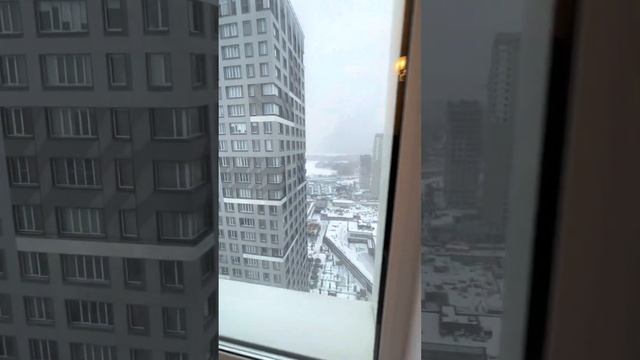 3-к апартаменты ЖК спутник в аренду смотреть онлайн