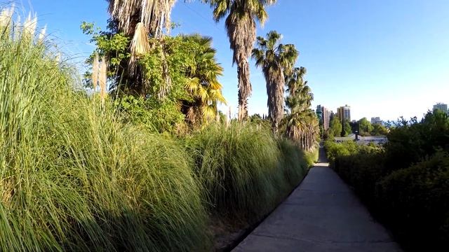 Сочи vlog #2 Морской порт Сочи, Сочинский дендрарий 4K смотреть онлайн