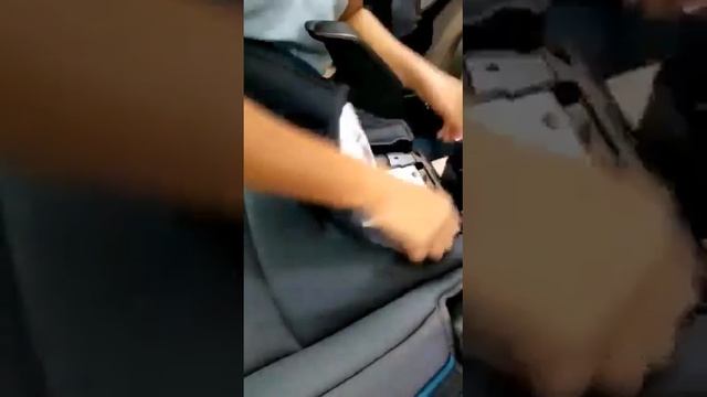 EVENFLO EVERYFIT 4 IN 1 CROTCH BUCKLE смотреть онлайн