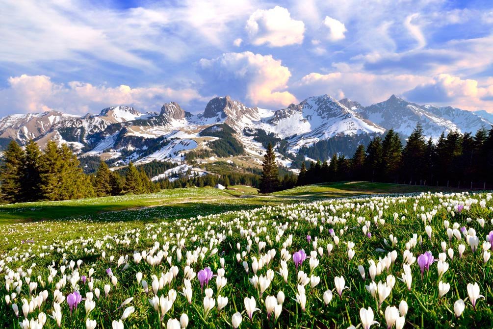 Lily was here - Candy Dulfer _ Dave Stewart.mp4 смотреть онлайн