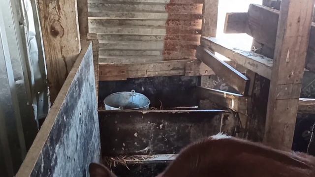 ИНГУШЕТИЯ/ КОТАМ К1ОРИГИЖ/ ДУСТ смотреть онлайн
