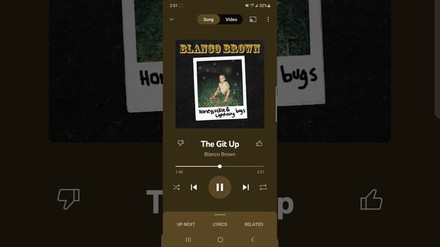 Blanco Brown- The Git Up смотреть онлайн