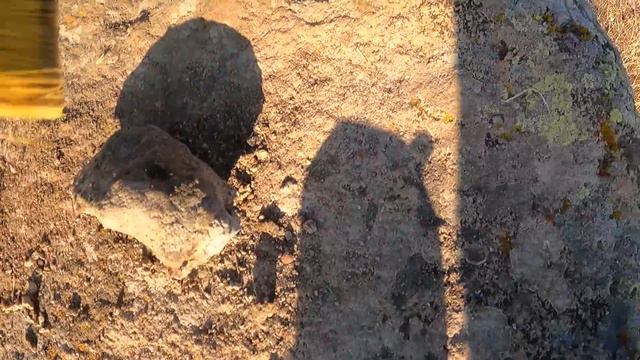 define işareti balık kayada yumurta içindeki hazine bulunma anı treasure смотреть онлайн