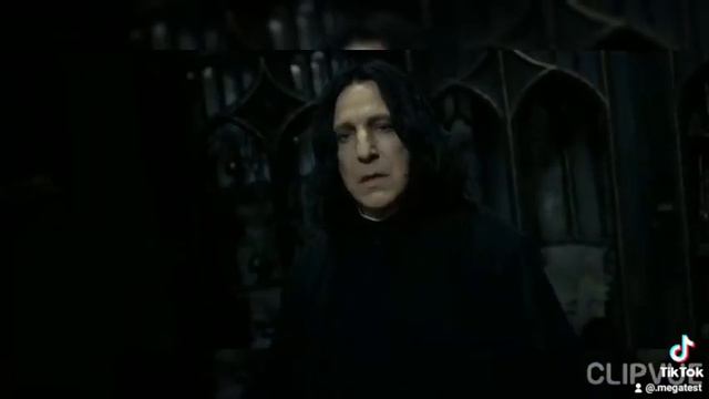 После стольких лет?#гаррипоттер #снег #дарысмерти #дамблдор #лилипоттер#поттер смотреть онлайн