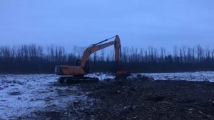 НАША РАБОТА ДО И ПОСЛЕ. РАСЧИСТКА 16 ГА В ОРЛОВСКОЙ ОБЛАСТИ, ЯБЛОНЕВЫЕ САДЫ. ВЫРУБКА,ВЫКОРЧЕВКА