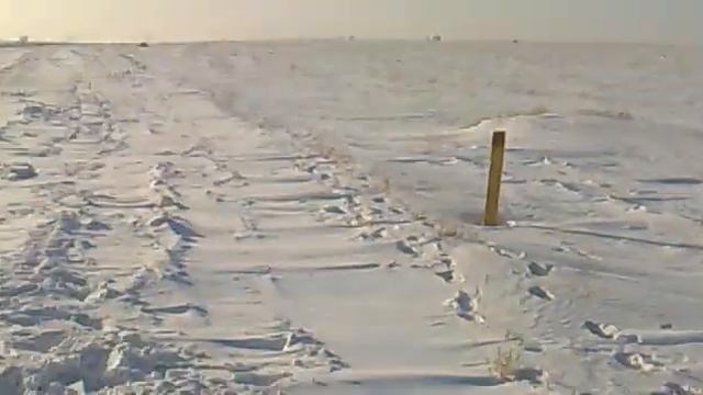 сели копаем.mp4 смотреть онлайн