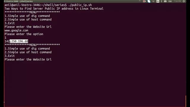 Day 9 !! Two ways to find public ip address of the website from the terminal !! #shell #scripting смотреть онлайн