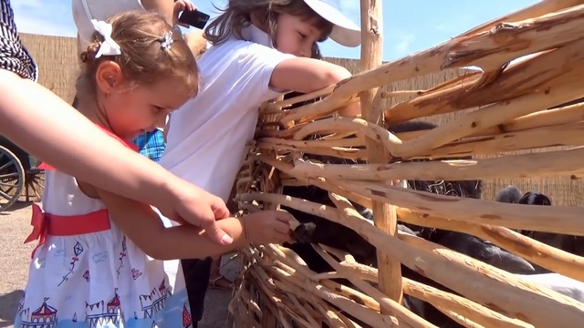 ВЛОГ БиоПарк смотрим животные и едем в МакДональдс покупать Хеппи Милл и новые и смотреть онлайн
