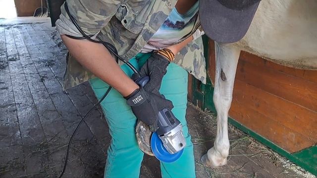 Продолжаем изучать Грома.Приводим копыта в порядок! смотреть онлайн