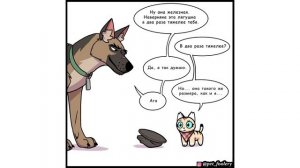 Пикси и Брут. 15 серия. Комиксы | Мемозг 677