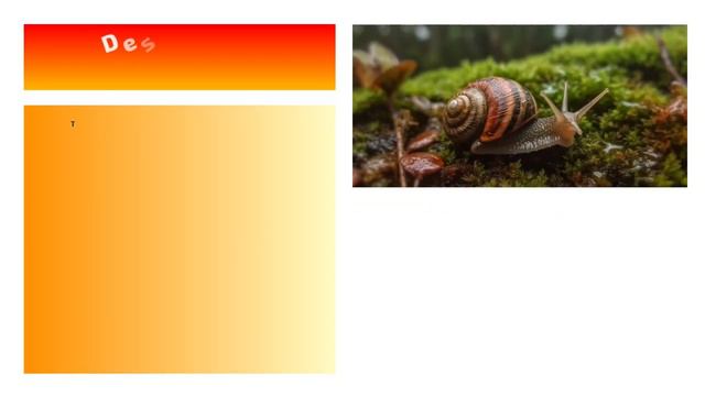 What Happens When a Snail's Shell Cracks? смотреть онлайн