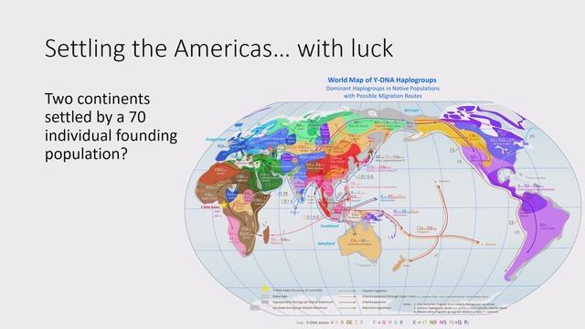 Орнаменты Сознания