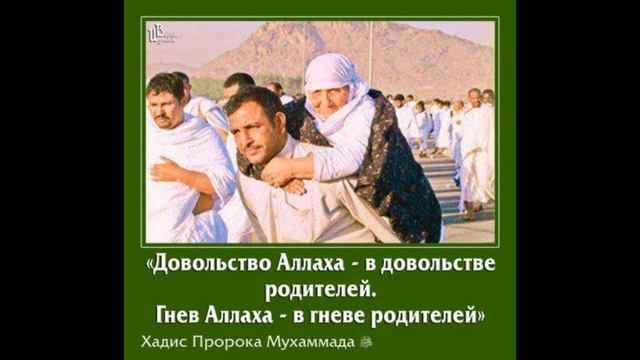 Уважай своих родителей! смотреть онлайн