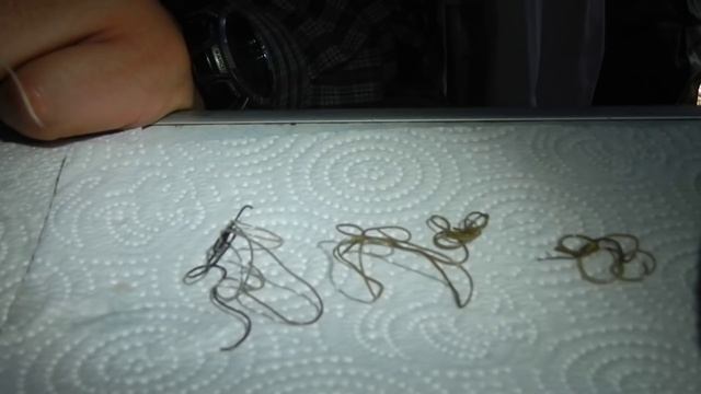 Червь-паразит смотреть онлайн