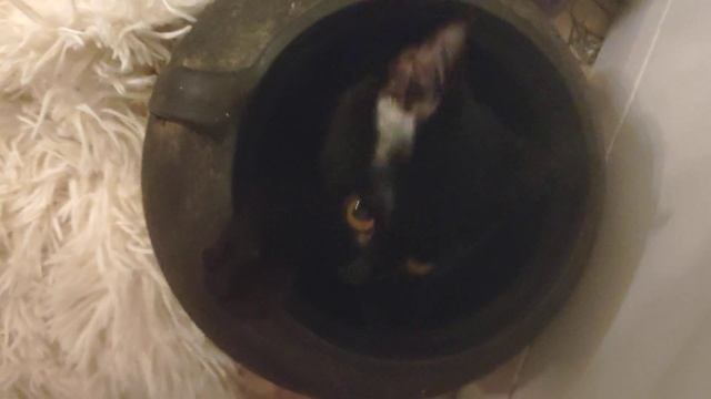 мое вдохновение из кувшина смотреть онлайн