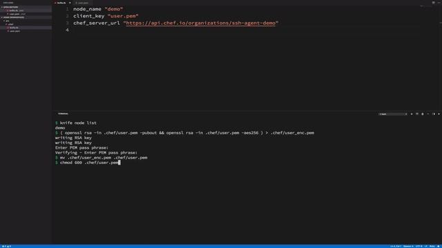 Demo: Chef SSH-Agent Signing смотреть онлайн