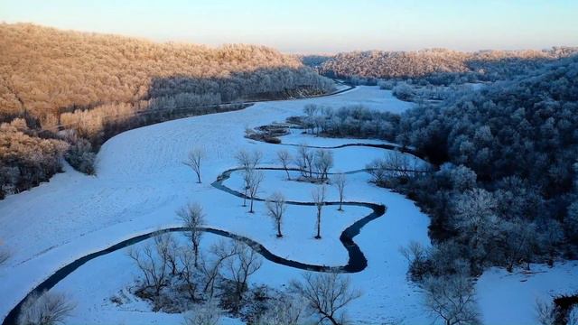 Relaxing Music 24/7, Sleep Music, Stress Relief Music, Spa, Meditation, Yoga, Zen, Calming Music смотреть онлайн