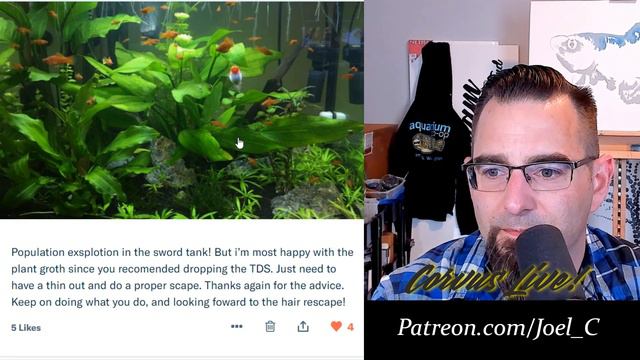 Episode 699! Where do you get your Aquascape Inspiration? смотреть онлайн