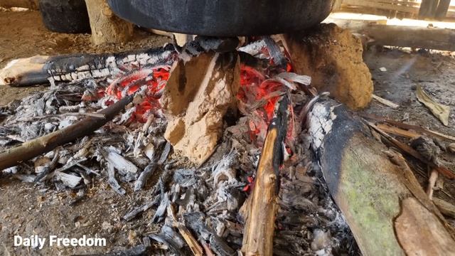 Single mother with little son- Harvest bamboo shoots & papaya flowers to sell at the market смотреть онлайн