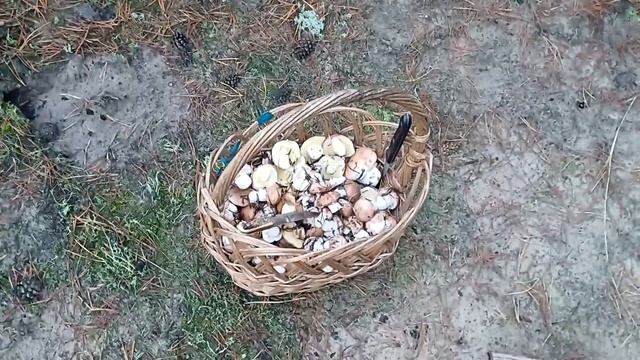 ВИ ЩЕ НЕ БАЧИТЕ ???? А ЧОЛОВІК В УДАРІ ЗА ГОДИНУ смотреть онлайн