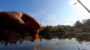 Metsui Tip Top 602 xuls. Обзор спиннинга