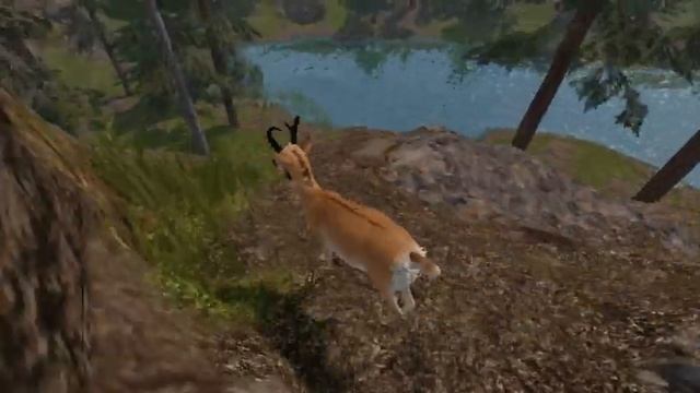 Roblox Cenozoic Survival - Pronghorn (WIP) on TESTING BRANCH смотреть онлайн