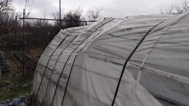 Дешевле некуда. Парничек. Последний штрих. смотреть онлайн