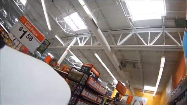 собака поводырь