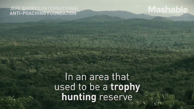 Meet the Female Rangers Protecting Zimbabwe's Elephants смотреть онлайн
