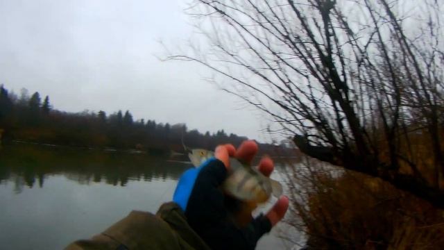 Отзыв на спиннинг Pontoon 21 Gad PinPoint 702XUL