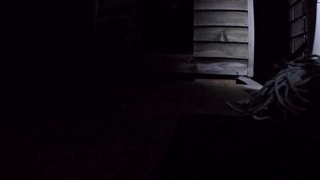 CARPET PYTHON IN UPPER COOMERA смотреть онлайн