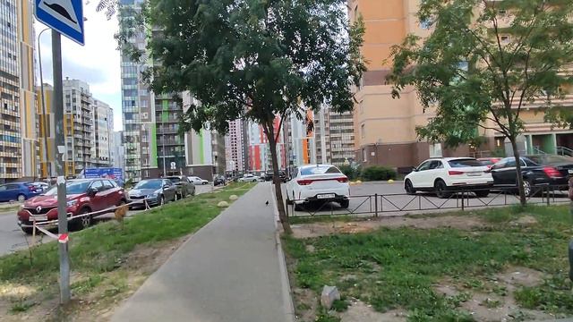 Аванс, задаток, соглашение на предоплату? Вернуть или не вернуть вот в чём вопрос. Сложности сделок смотреть онлайн