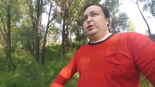 VLOG: Голодная кошка смотреть онлайн