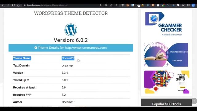 How to Use WordPress Theme Detector | WWW.TOOLSBOX.COM смотреть онлайн