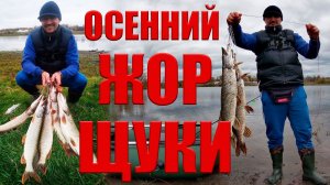 Рыбалка в Новосибирске. Осенний жор щуки!!!
