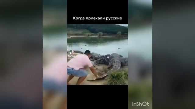 Тик ток подборка 2022 смотреть онлайн